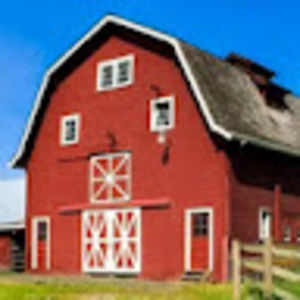 Meet your Posher, Leeann